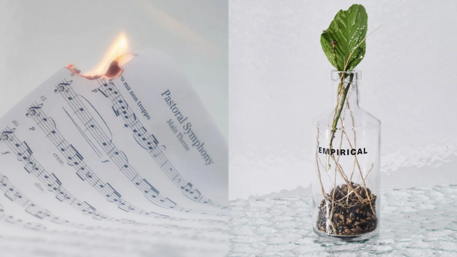 Empirical Spirits - 5